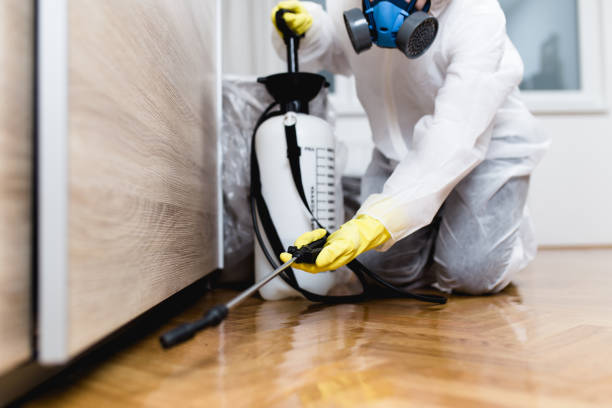 Best Affordable Pest Control Services  in Albion, NY