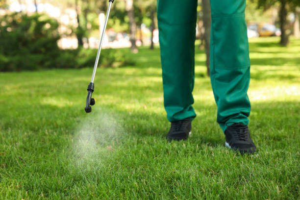 Best Pest Inspection Near Me  in Albion, NY